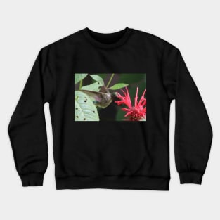 A Hummingbird partaking in Bee Balm Nectar Crewneck Sweatshirt